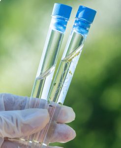 Water sample test tubes for rainwater tank water testing